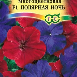 Петуния Полярная ночь F1 крупноцв. 10 шт. гранул. пробирка Н9