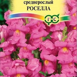 Львиный зев Роселла* 0,1 г Н9