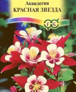 Аквилегия Красная звезда гибридная* 0,1 г Н9