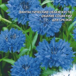 Василек Лагуна, синий 0,2 г серия Устойчив к заморозкам !