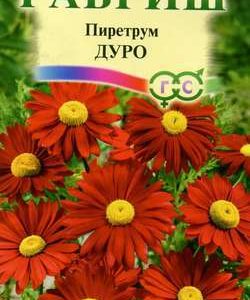 Пиретрум Дуро* 0,2 г