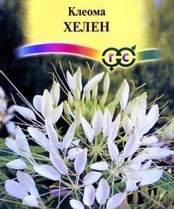Клеома Хелен 0,3 г Н9