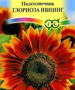 Подсолнечник Глориоза Ивнинг 0,5 г Н9