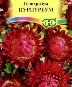 Гелихризум Пурпуреум* 0,2 г Н9