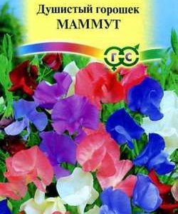 Душистый горошек Маммут, смесь 0,5 г серия Сад ароматов