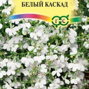 Лобелия Белый каскад , ампельная * 0,05 г