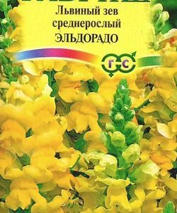 Львиный зев Эльдорадо* 0,1 г Н9