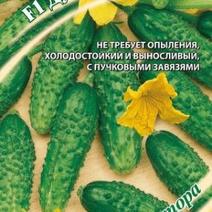 Огурец Дубровский F1 10 шт. автор. Н9