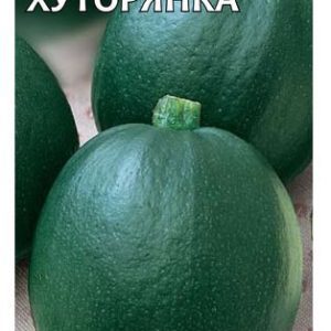 Тыква Хуторянка 2,0 г Н9