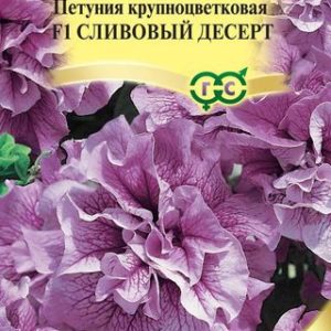Петуния Сливовый десерт F1 махр. 5 шт. гранул. проб. сер. Элитная клумба Н9