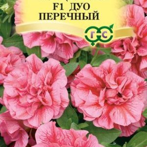 Петуния Дуо перечный F1 махр. 5 шт. гранул. проб. сер. Элитная клумба Н9