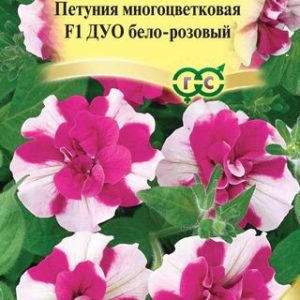Петуния Дуо бело-розовый F1 махр. 10 шт. гранул. проб. сер. Элитная клумба Н9