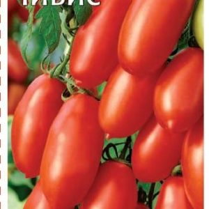 Томат Чибис 0,1 г Н10