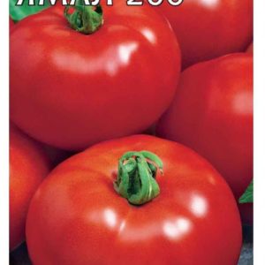 Томат Ямал-200 0,1 г Н10