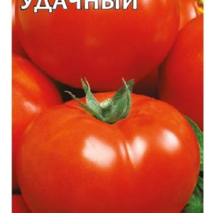 Томат Удачный 0,1 г Н10
