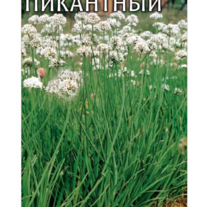 Лук Душистый Пикантный 0,5 г