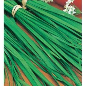 Лук Душистый Априор 0,5 г