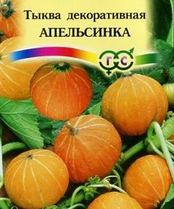 Тыква декоративная Апельсинка 1,0 г Н9