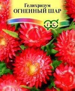 Гелихризум Огненный шар* 0,2 г Н9