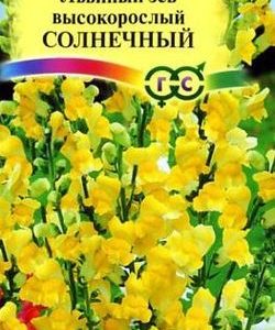 Львиный зев Солнечный* 0,1 г Н9