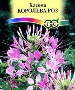 Клеома Королева роз 0,3 г Н9