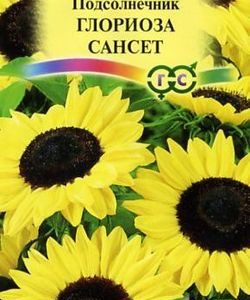 Подсолнечник Глориоза Сансет 0,5 г Н9