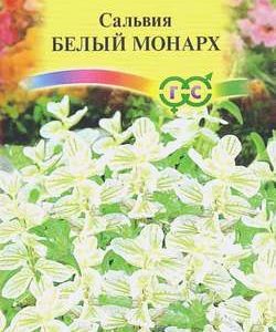 Сальвия Белый монарх хорминум* 0,05 г Н10