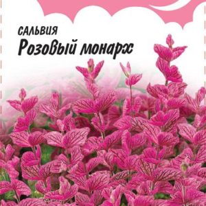 Сальвия Розовый монарх хорминум* 0,05 г Н9 серия Розовые сны