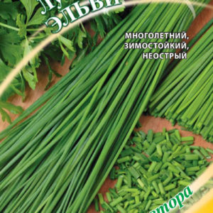 Лук шнитт Эльви 0,5 г автор. Н10