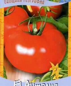 Томат Анталия F1 12 шт. серия География Н9