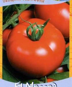 Томат Массад F1 12 шт. серия География Н9