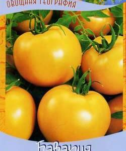 Томат Бавария 0,1 г серия География Н9