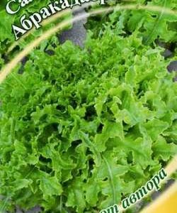 Салат Абракадабра 1,0 г зеленый,маслянистый автор. Н9