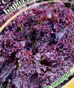 Салат Барбадос 1,0 г красный автор. Н9