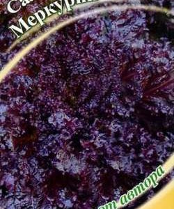 Салат Меркурий 1,0 г красный автор. Н10