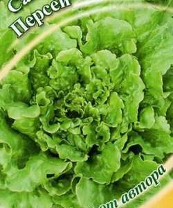 Салат Персей 1,0 г кудрявый автор. Н9
