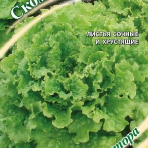 Салат Скоморох 1,0 г листовой,хрустящий автор. Н9