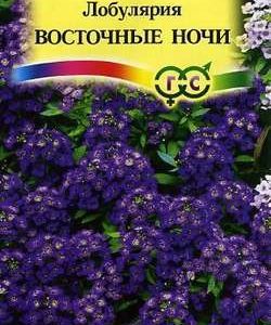 Лобулярия Восточные ночи* 0,1 г серия Сад ароматов Н9