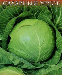 Капуста белокоч. Сахарный хруст 0,5 г ранняя сер. Русский вкус! Н10