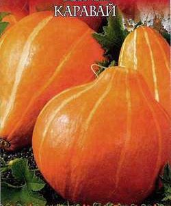 Тыква Каравай 2,0 г серия Русский вкус! Н10