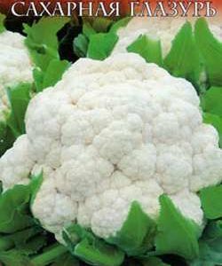 Капуста цветная Сахарная глазурь 0,5 г сер. Русский вкус! Н10