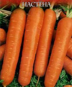Морковь Настена 2,0 г серия Русский вкус! Н10