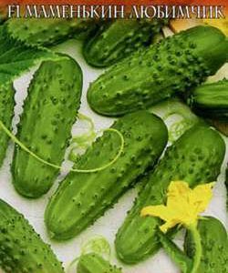 Огурец Маменькин любимчик 0,5 г корнишон серия Русский вкус! Н10