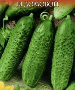 Огурец Домовой 0,5 г серия Русский вкус! Н10