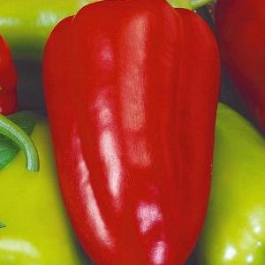 Перец Петушок 0,2 г серия Русский вкус! Н10