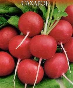 Редис Сахарок 2,0 г серия Русский вкус! Н10