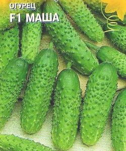 Огурец Маша F1 8 шт.корнишон (Голландия) Н10