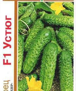 Огурец Устюг F1 серия 1+1/20 шт. корнишон автор.