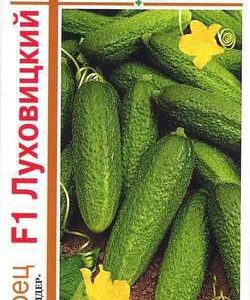 Огурец Луховицкий F1 серия 1+1/20 шт.корнишон автор.