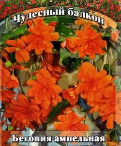 Бегония Афродита F1 амп. гранул. 5 шт. пробирка сер. Чудесный балкон